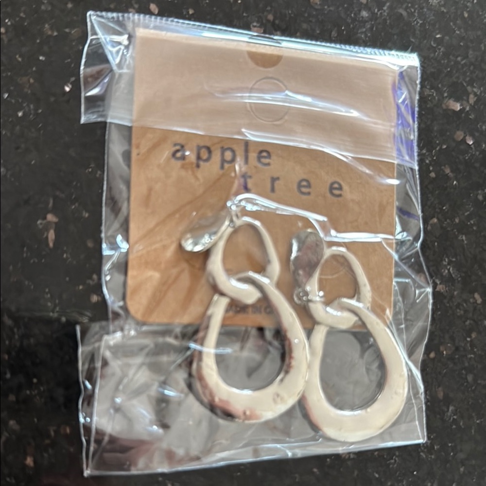 Silver Earrings